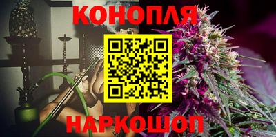 спайс Гагарин