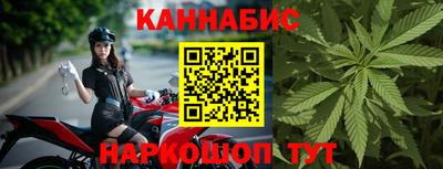 ALPHA PVP Гай