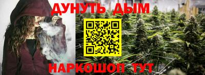 спайс Гагарин