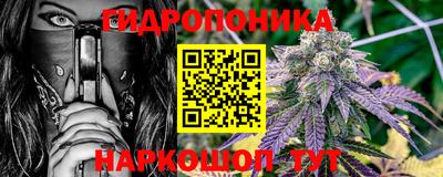 спайс Гагарин