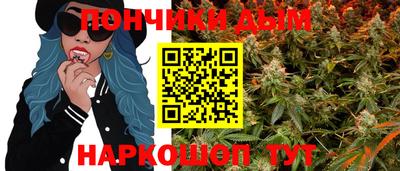 спайс Гагарин